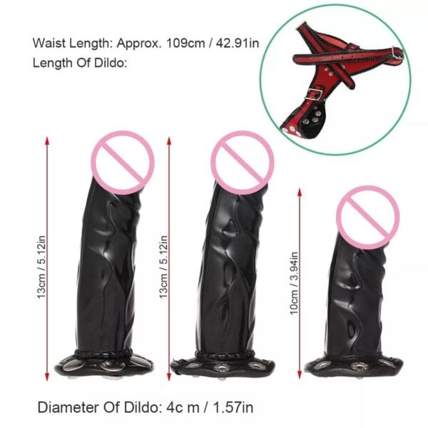 Arnés + 3 dildos
