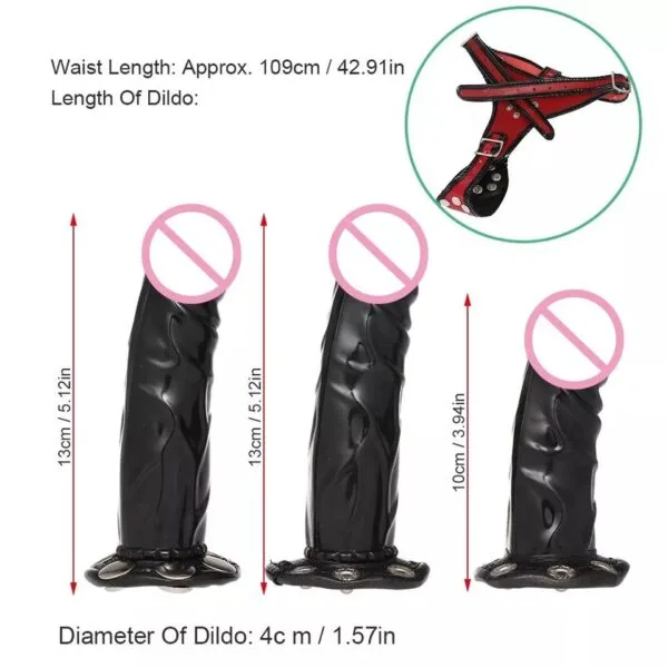 Arnés + 3 dildos