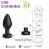 Plug anal con control
