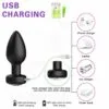 Plug anal con control