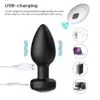 Plug anal con control