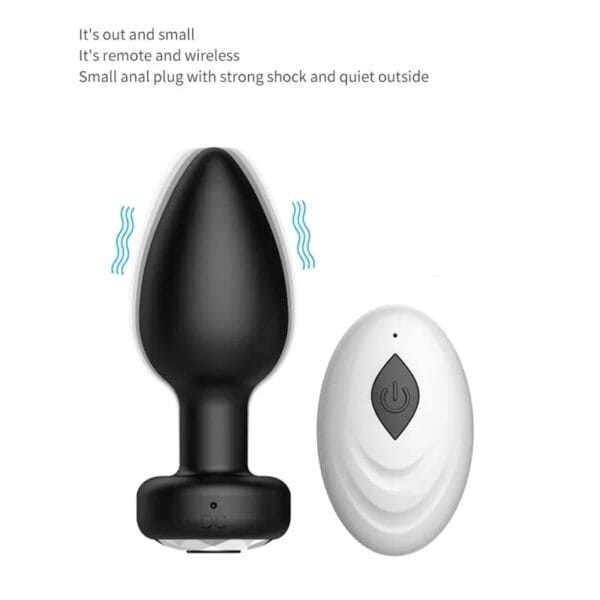 Plug anal con control
