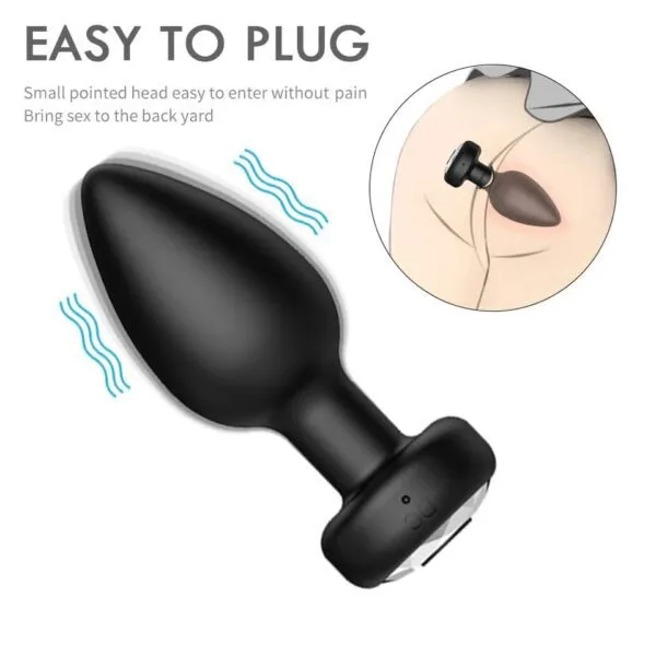Plug anal con control