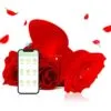 Plug rosa app