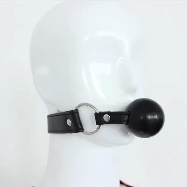 IMG-20250223-WA0089 Mordaza