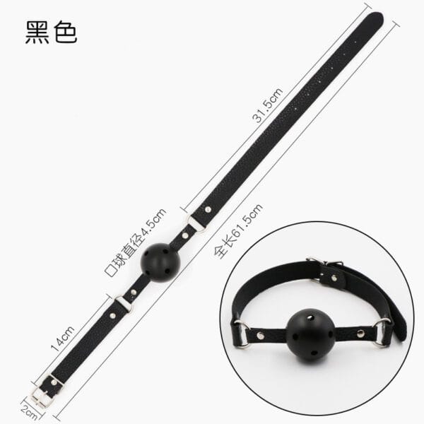 IMG-20250223-WA0091 Mordaza